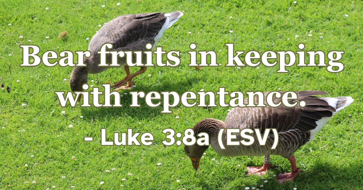 Luke 3:8a (ESV): Bear fruits in keeping with repentance.