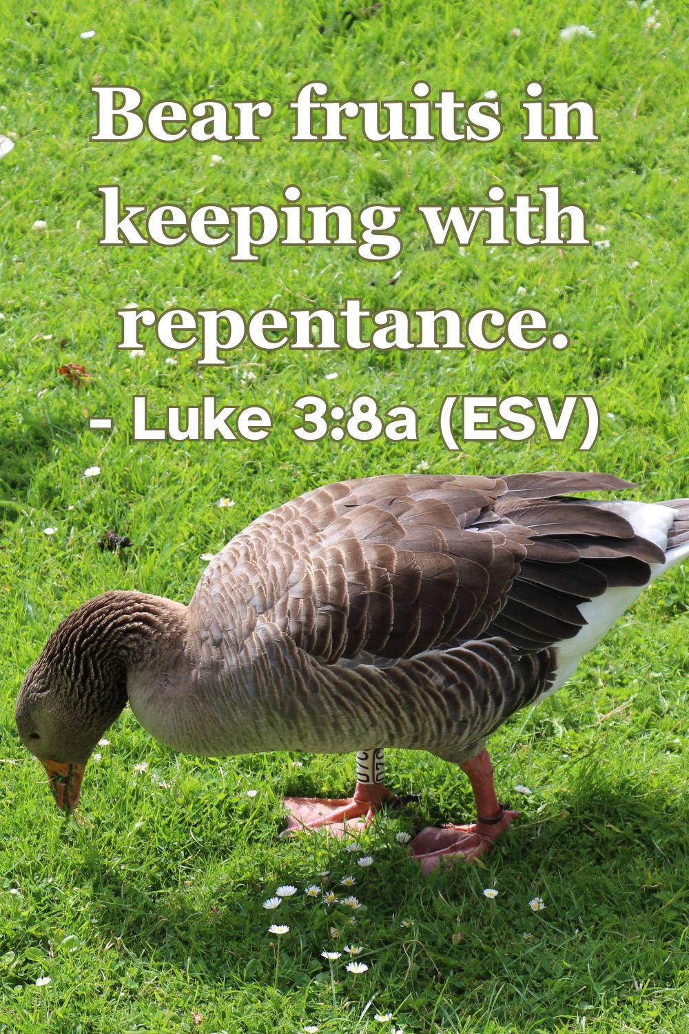 Luke 3:8a (ESV): Bear fruits in keeping with repentance.