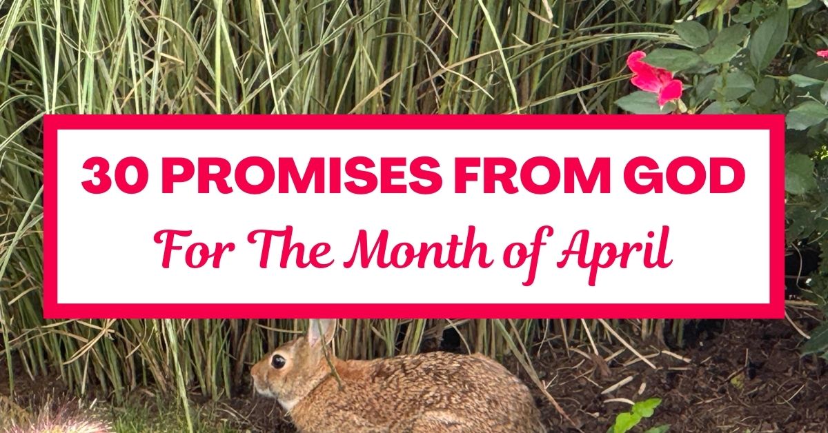 30 Promises from God for the Month of April: A Daily&nbsp;Devotional