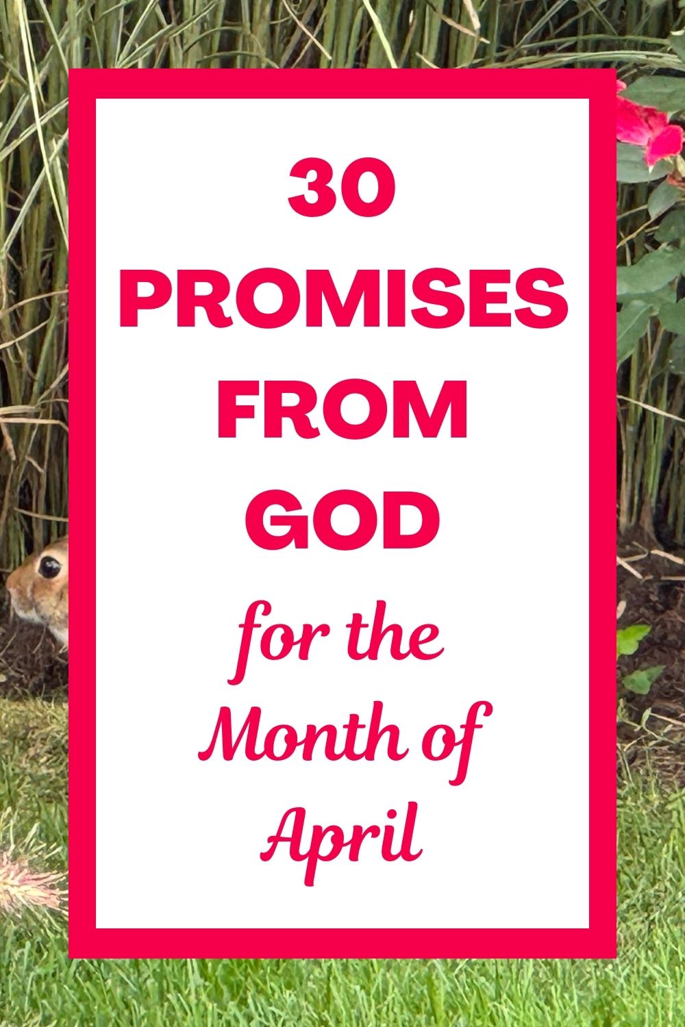 Find daily encouragement and spiritual renewal with these thirty promises from God for the month of April. This month, we will explore the deep peace found in Christ, the reality of Jesus' finished work on the cross, and the miracle of being born again into the family of God. These daily readings are designed to anchor your heart in the unshakable word of God as we celebrate the victory of the resurrection! May you find rest in the truth that his grace is always enough! #DailyDevotions #Prayer #Scripture