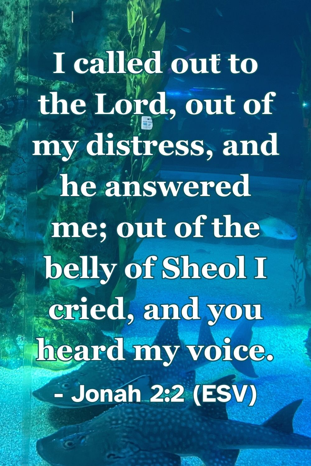 Jonah 2:2 (ESV): I called out to the Lord, out of my distress, and he answered me; out of the belly of Sheol I cried, and you heard my voice.