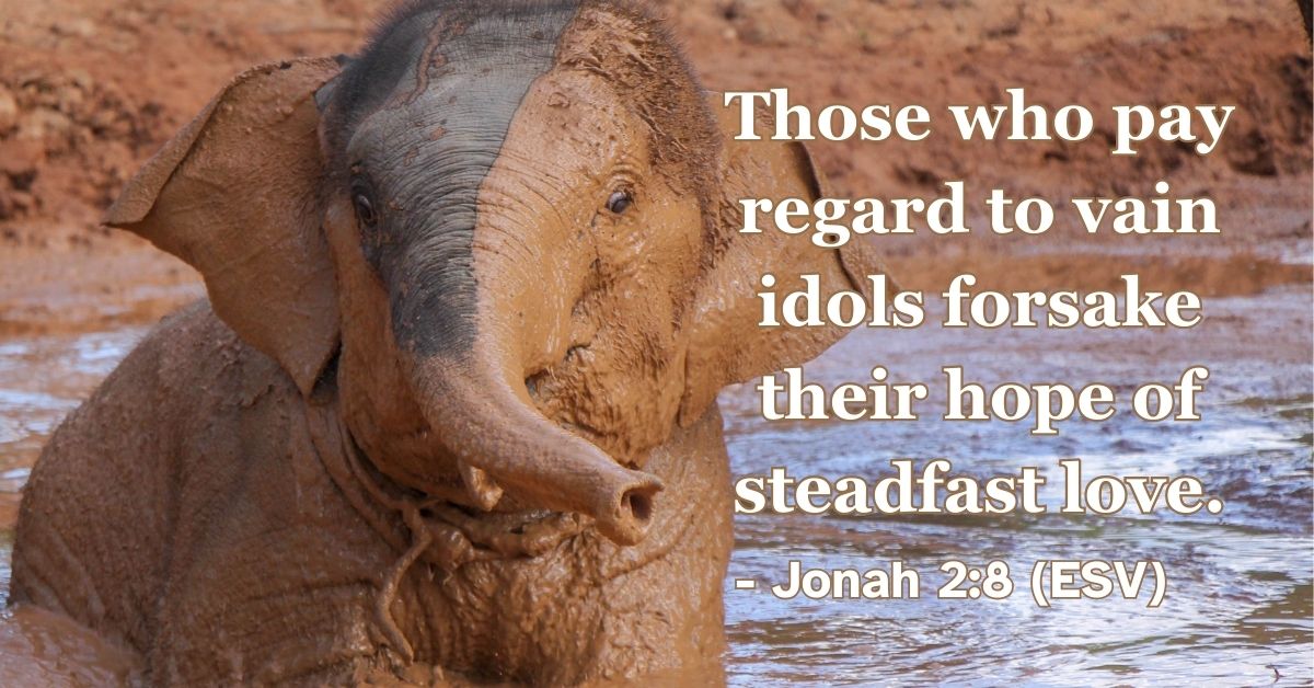 Jonah 2:8 (ESV): Those who pay regard to vain idols forsake their hope of steadfast love.