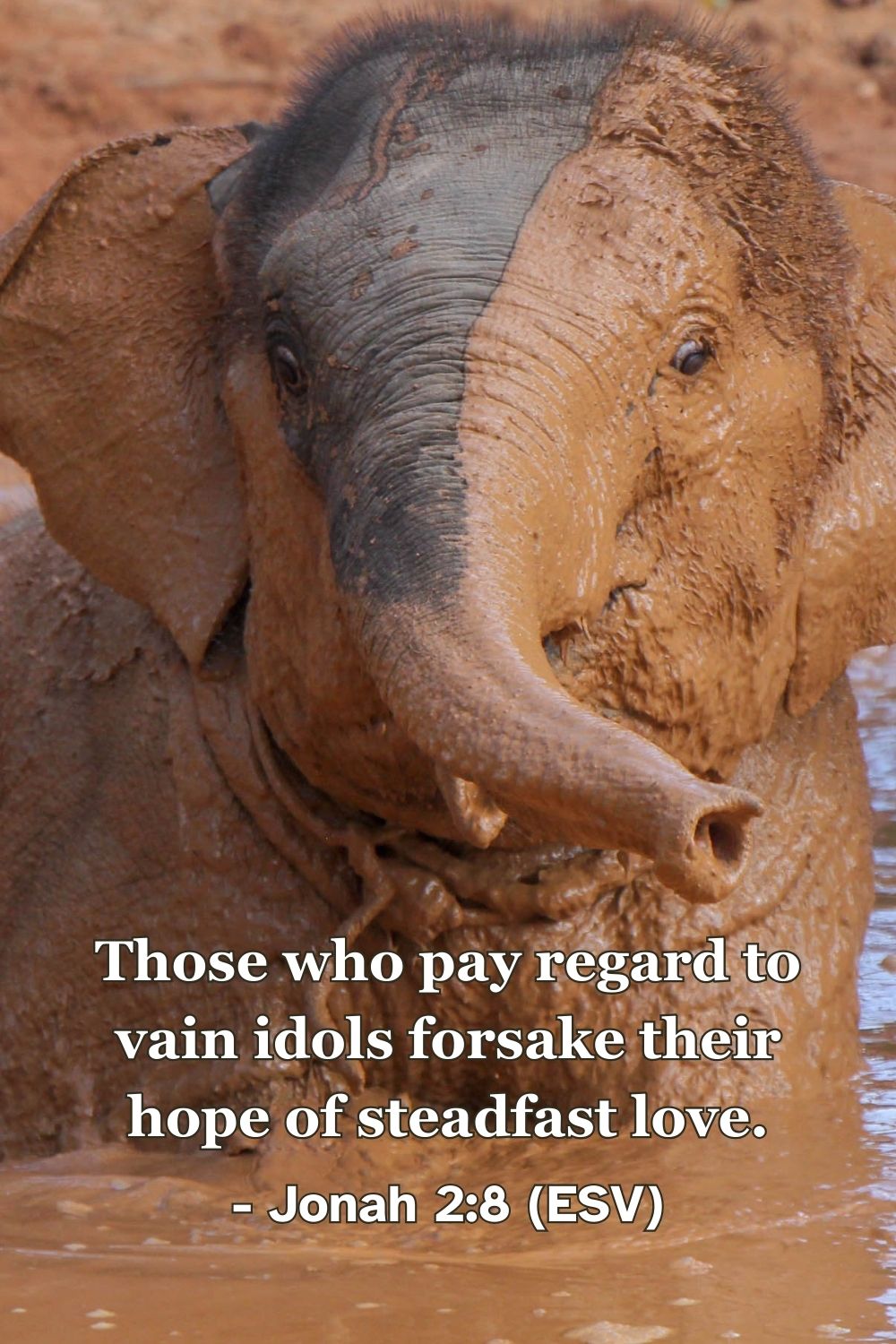 Jonah 2:8 (ESV): Those who pay regard to vain idols forsake their hope of steadfast love.