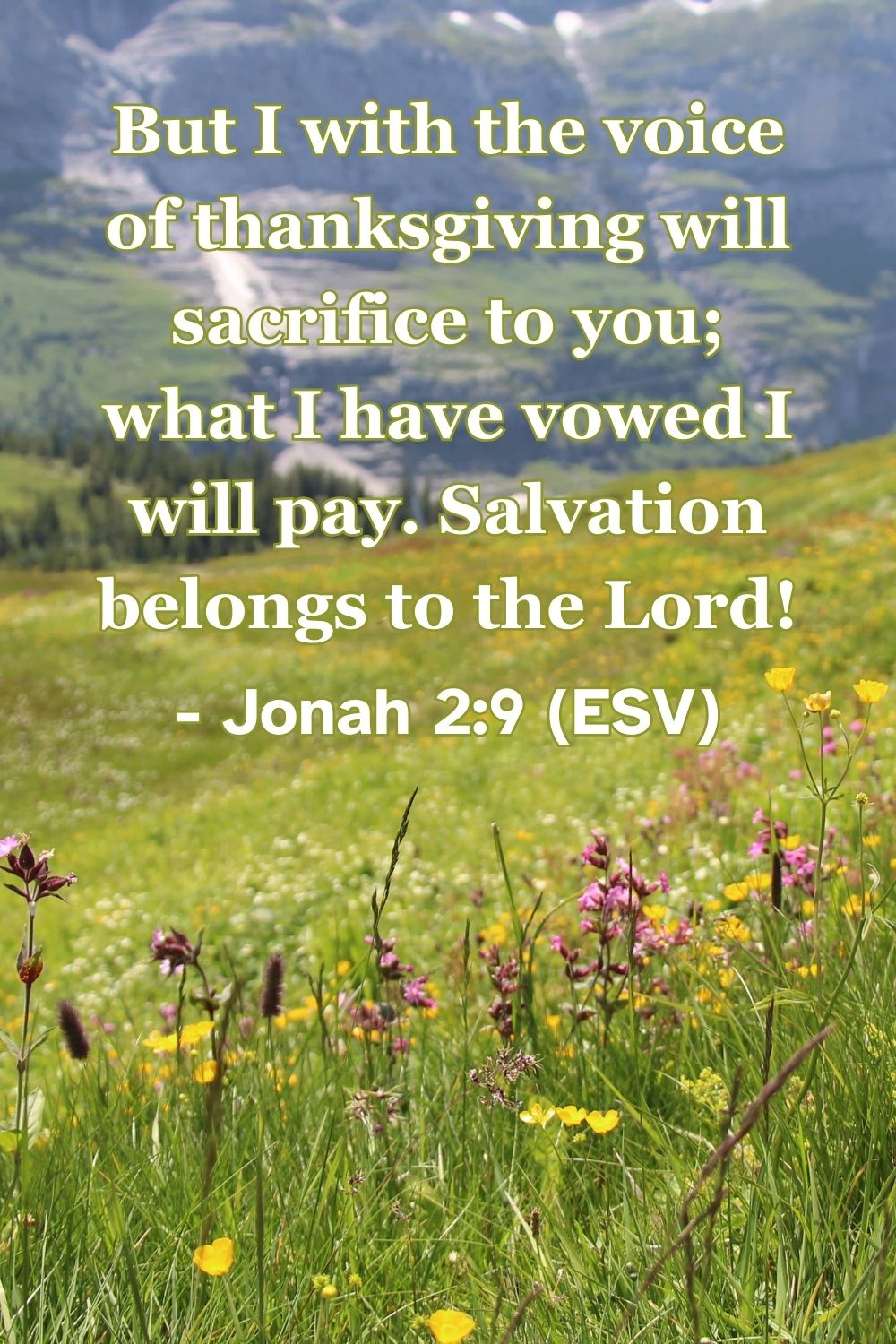 Jonah 2:9 (ESV): But I with the voice of thanksgiving will sacrifice to you; what I have vowed I will pay. Salvation belongs to the Lord!