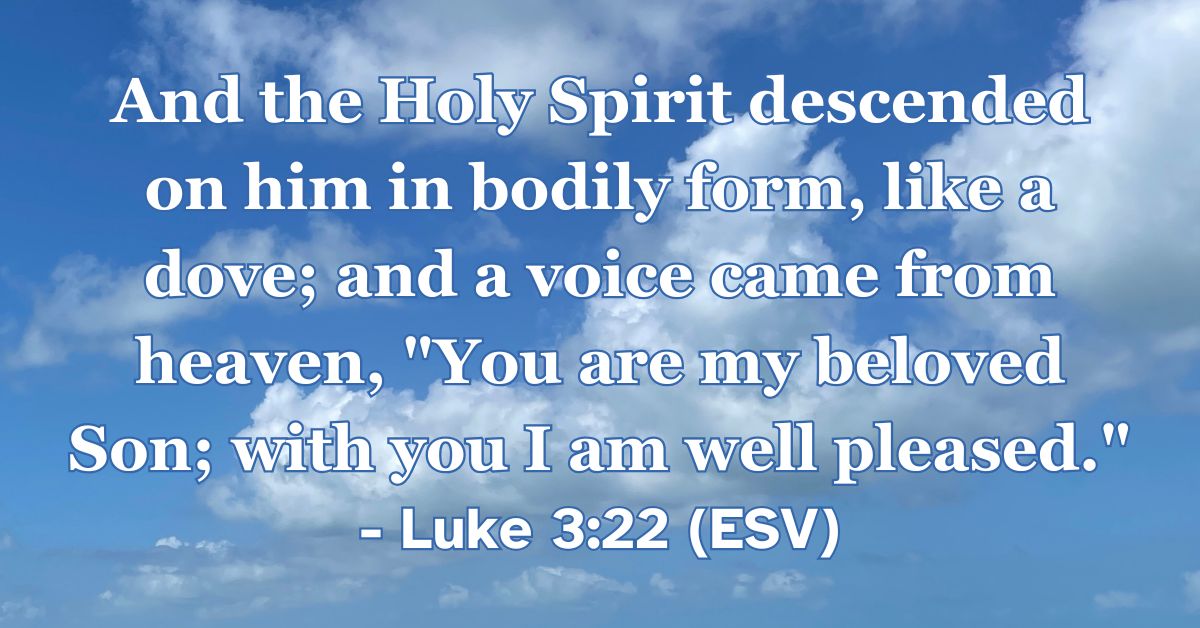 Luke 3:22 (ESV): And the Holy Spirit descended on him in bodily form, like a dove; and a voice came from heaven, “You are my beloved Son; with you I am well pleased.”