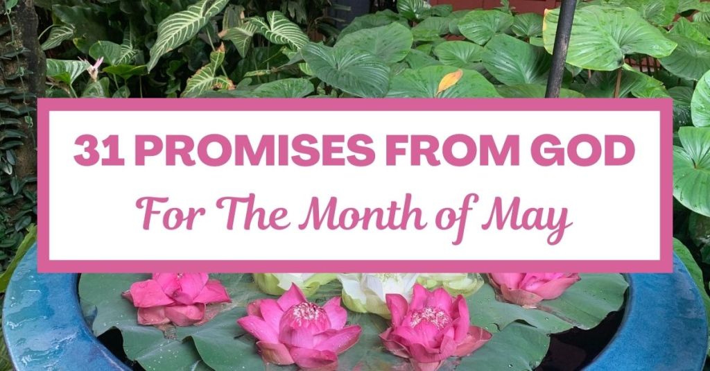31 Promises from God for the Month of May: A Daily&nbsp;Devotional