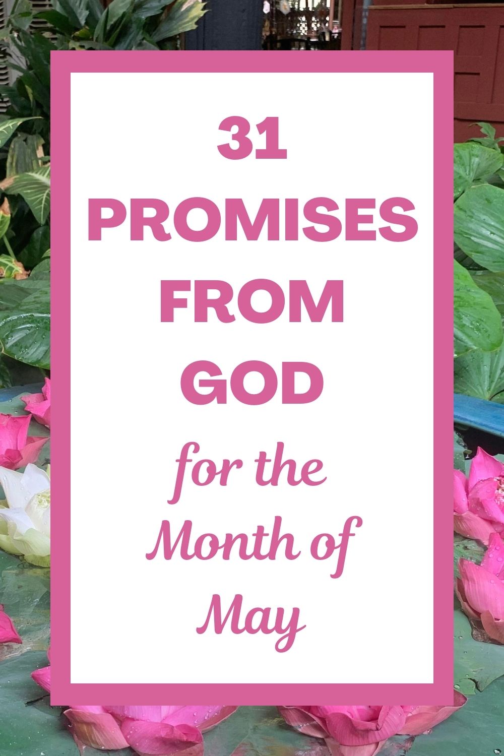 Start your day with hope by exploring 31 powerful promises from God designed to guide you through the entire month of May. This daily devotional focuses on the wisdom, presence, and restorative care of the Good Shepherd to help you build a stronger foundation in your faith. Each day offers a specific scripture, helpful context, and a practical reflection question to help you apply God's truth to your life! May these daily readings bring you peace and encouragement as you walk with him. #DailyDevotional #BibleStudy #BibleLesson #BibleVerses #Scripture #Prayer