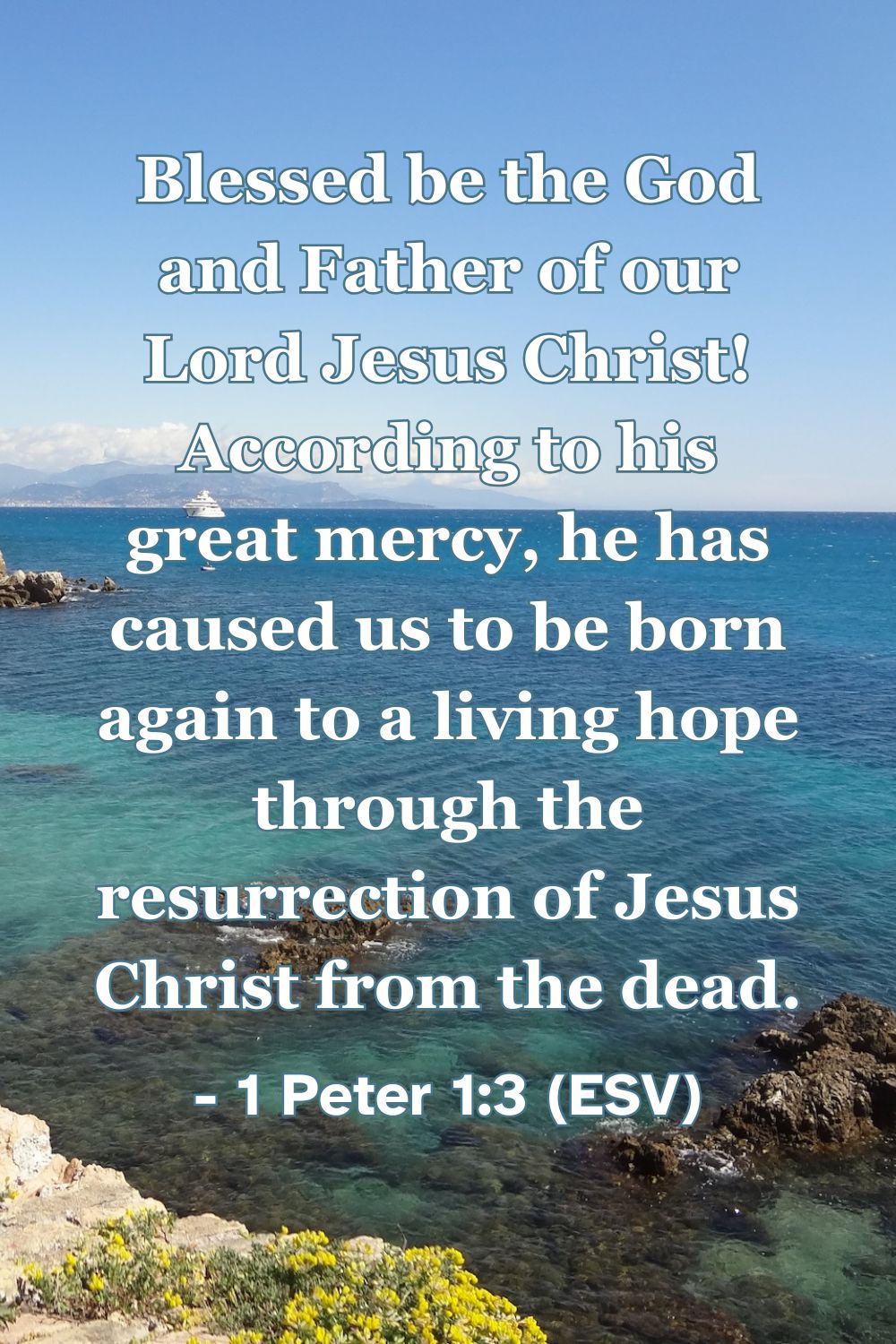 Bible verse from 1 Peter 1:3 about new birth through Jesus Christ.
