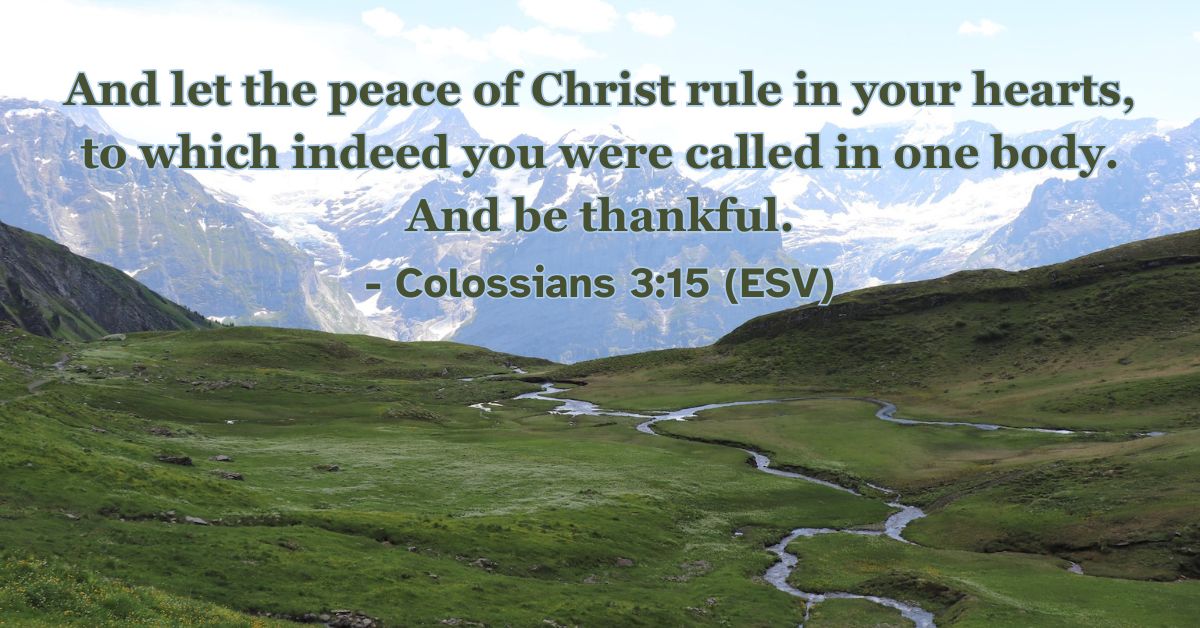 Bible verse from Colossians 3:15 about peace and thankfulness.