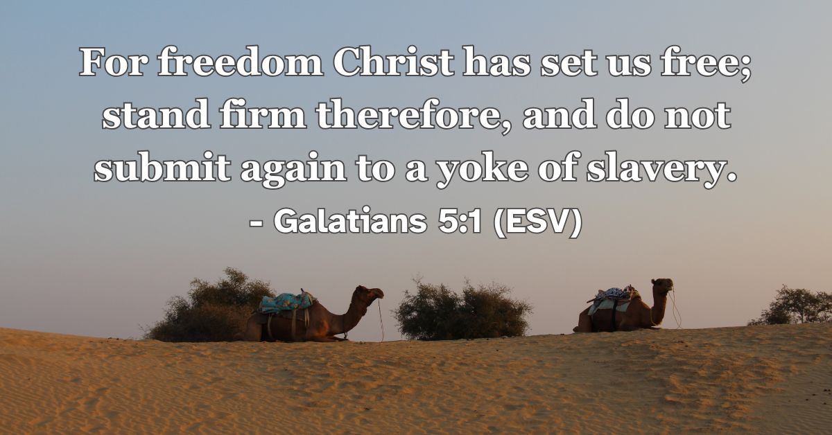 Bible verse from Galatians 5:1 about freedom in Christ.