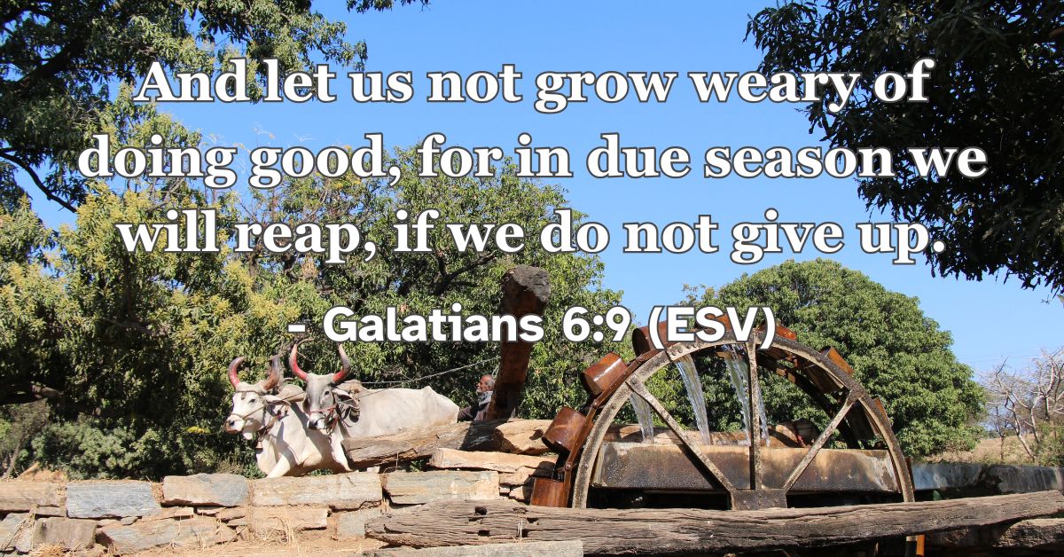 Bible verse from Galatians 6:9 about not giving up in doing good.