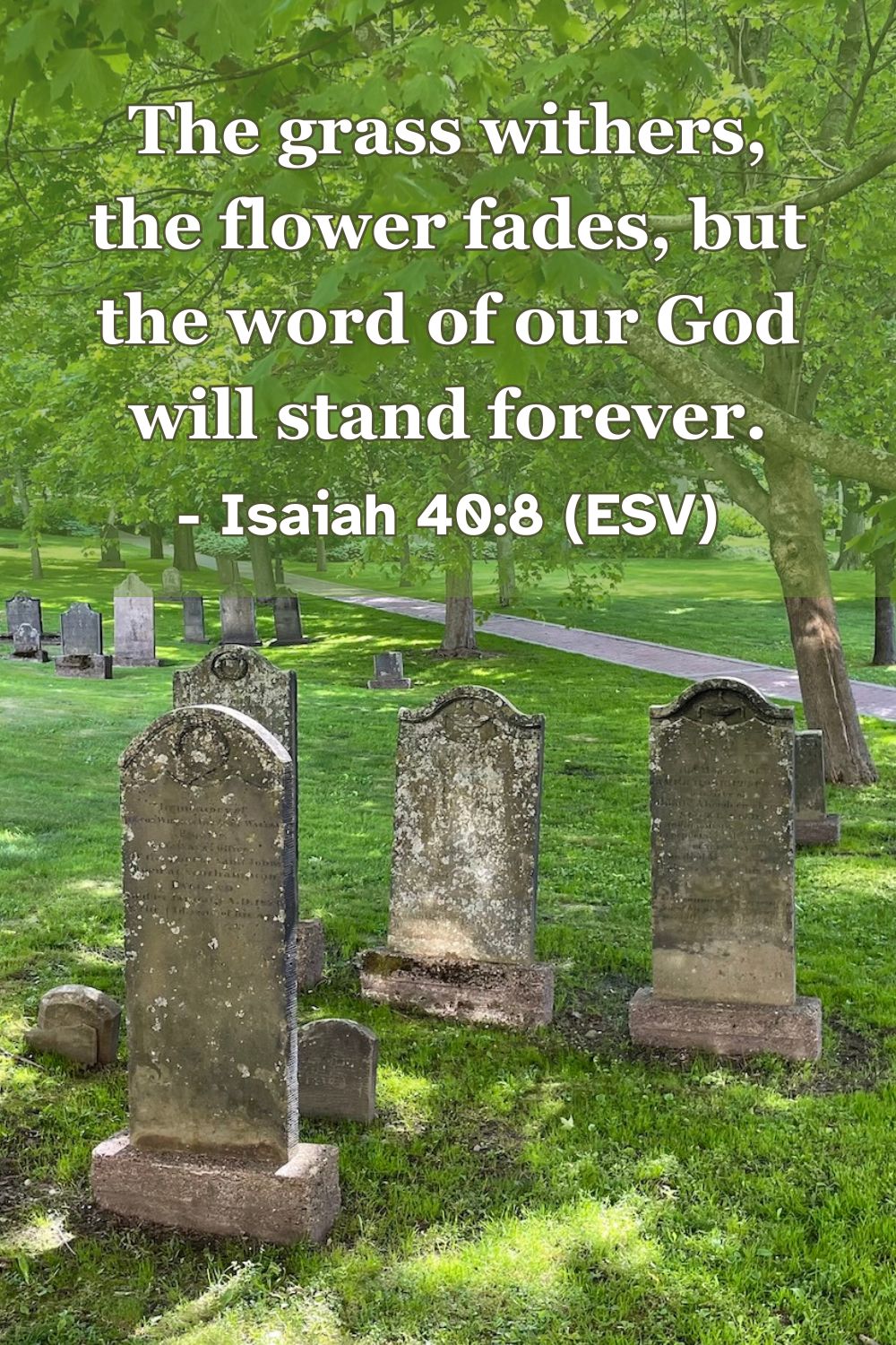 This Bible verse image features Isaiah 40:8 (ESV): “The grass withers, the flower fades, but the word of our God will stand forever.” A reminder that God’s word never fails.
