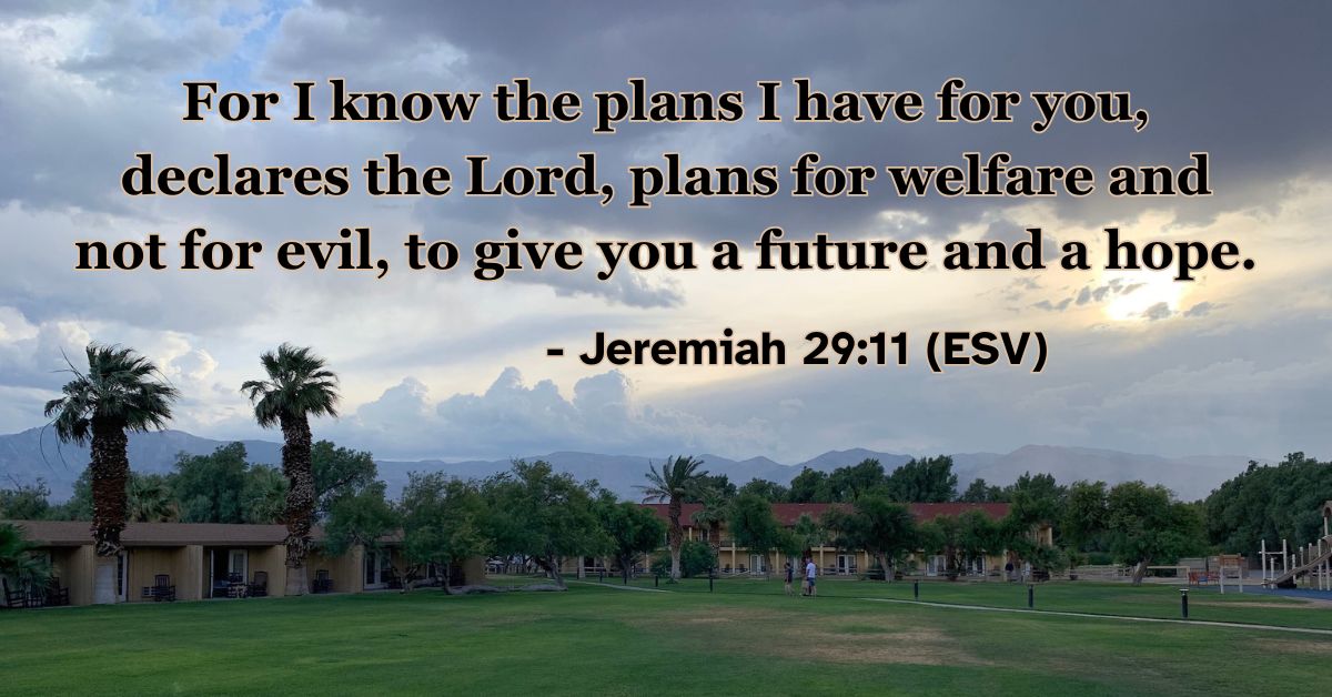 This Bible verse image features Jeremiah 29:11 (ESV): “For I know the plans I have for you, declares the Lord, plans for welfare and not for evil, to give you a future and a hope.” A reminder that God’s plans are good and filled with hope.