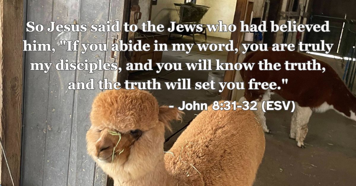 Bible verse from John 8:31-32 about truth setting us free.