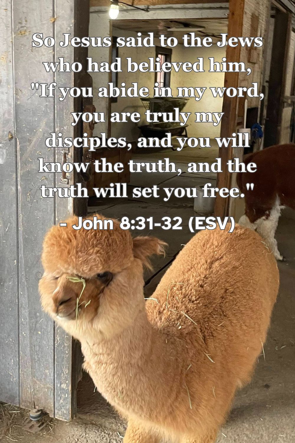 Bible verse from John 8:31-32 about truth setting us free.