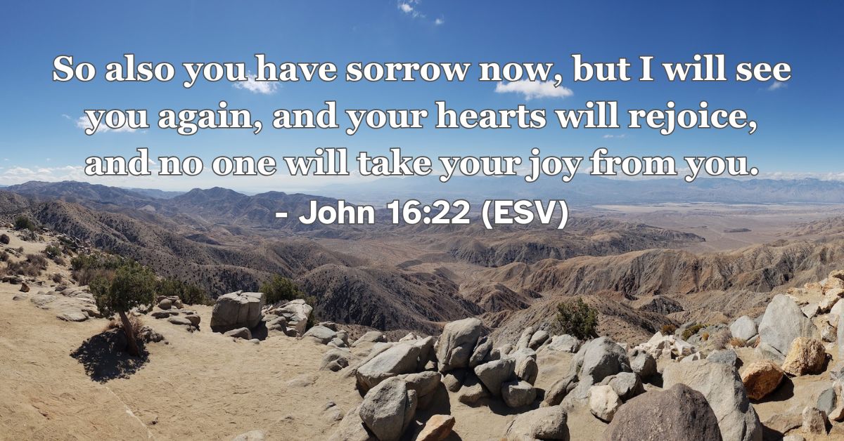 John 16:22 (ESV): So also you have sorrow now, but I will see you again, and your hearts will rejoice, and no one will take your joy from you.