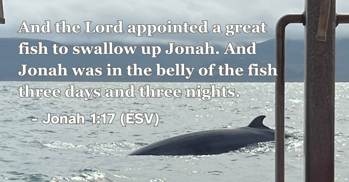 Bible verse from Jonah 1:17 about Jonah swallowed by a great fish.