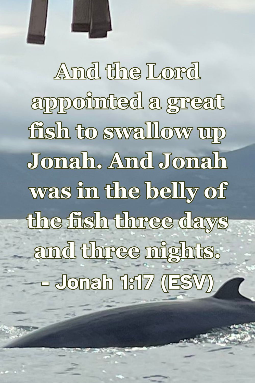 Bible verse from Jonah 1:17 about Jonah swallowed by a great fish.