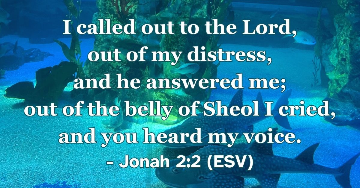 Bible verse from Jonah 2:2 about God answering prayer in distress.