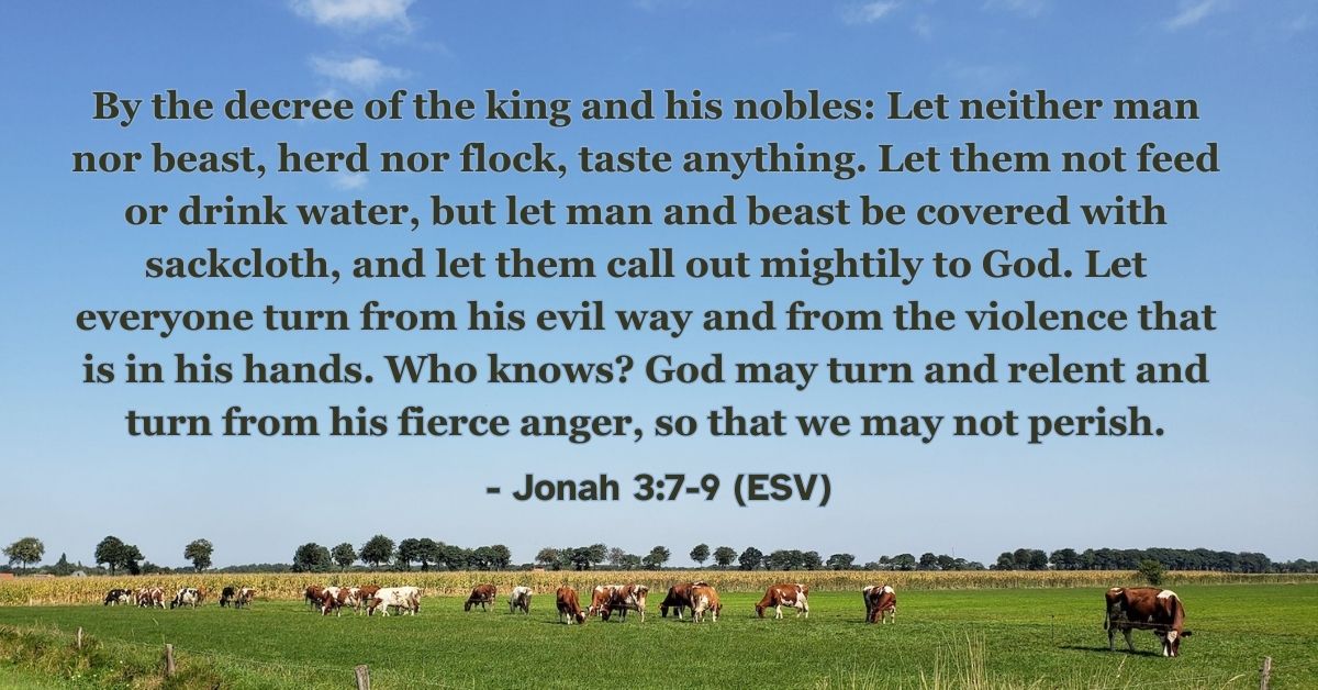 Jonah 3:7-9 (ESV): By the decree of the king and his nobles: Let neither man nor beast, herd nor flock, taste anything. Let them not feed or drink water, but let man and beast be covered with sackcloth, and let them call out mightily to God. Let everyone turn from his evil way and from the violence that is in his hands. Who knows? God may turn and relent and turn from his fierce anger, so that we may not perish.