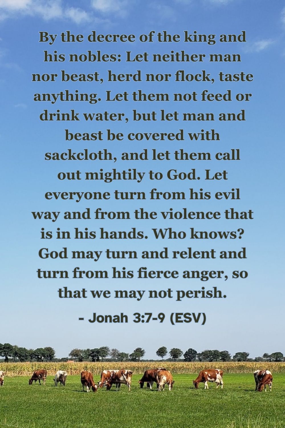 Jonah 3:7-9 (ESV): By the decree of the king and his nobles: Let neither man nor beast, herd nor flock, taste anything. Let them not feed or drink water, but let man and beast be covered with sackcloth, and let them call out mightily to God. Let everyone turn from his evil way and from the violence that is in his hands. Who knows? God may turn and relent and turn from his fierce anger, so that we may not perish.