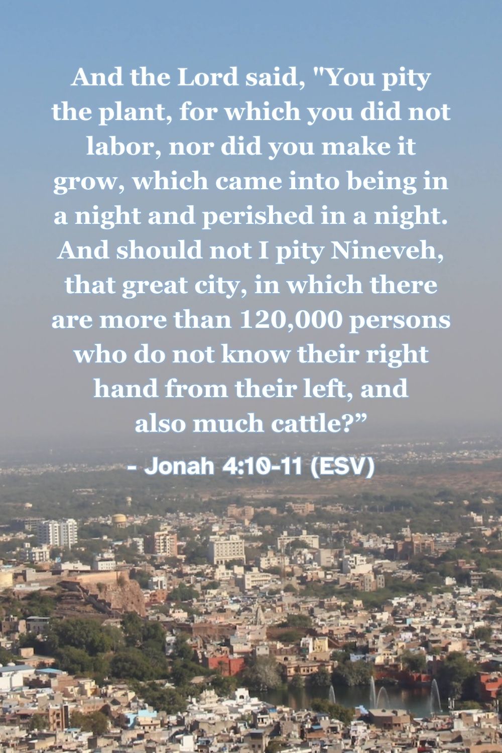 Jonah 4:10–11 (ESV): And the Lord said, “You pity the plant, for which you did not labor, nor did you make it grow, which came into being in a night and perished in a night. And should not I pity Nineveh, that great city, in which there are more than 120,000 persons who do not know their right hand from their left, and also much cattle?”