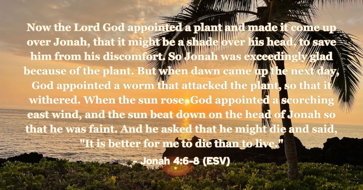 Jonah 4:6–8 (ESV): Now the Lord God appointed a plant and made it come up over Jonah, that it might be a shade over his head, to save him from his discomfort. So Jonah was exceedingly glad because of the plant. But when dawn came up the next day, God appointed a worm that attacked the plant, so that it withered. When the sun rose, God appointed a scorching east wind, and the sun beat down on the head of Jonah so that he was faint. And he asked that he might die and said, “It is better for me to die than to live.”