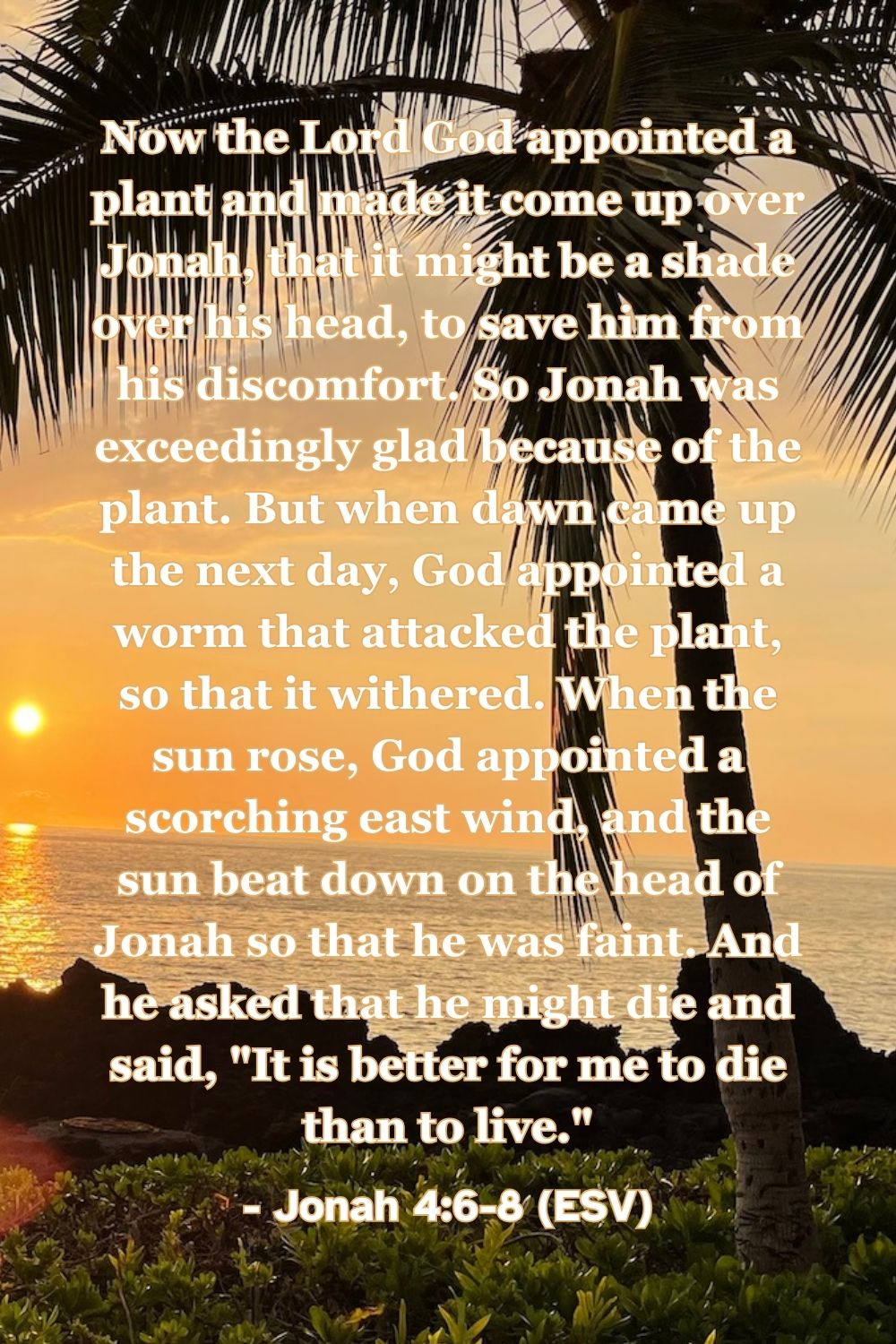 Jonah 4:6–8 (ESV): Now the Lord God appointed a plant and made it come up over Jonah, that it might be a shade over his head, to save him from his discomfort. So Jonah was exceedingly glad because of the plant. But when dawn came up the next day, God appointed a worm that attacked the plant, so that it withered. When the sun rose, God appointed a scorching east wind, and the sun beat down on the head of Jonah so that he was faint. And he asked that he might die and said, “It is better for me to die than to live.”