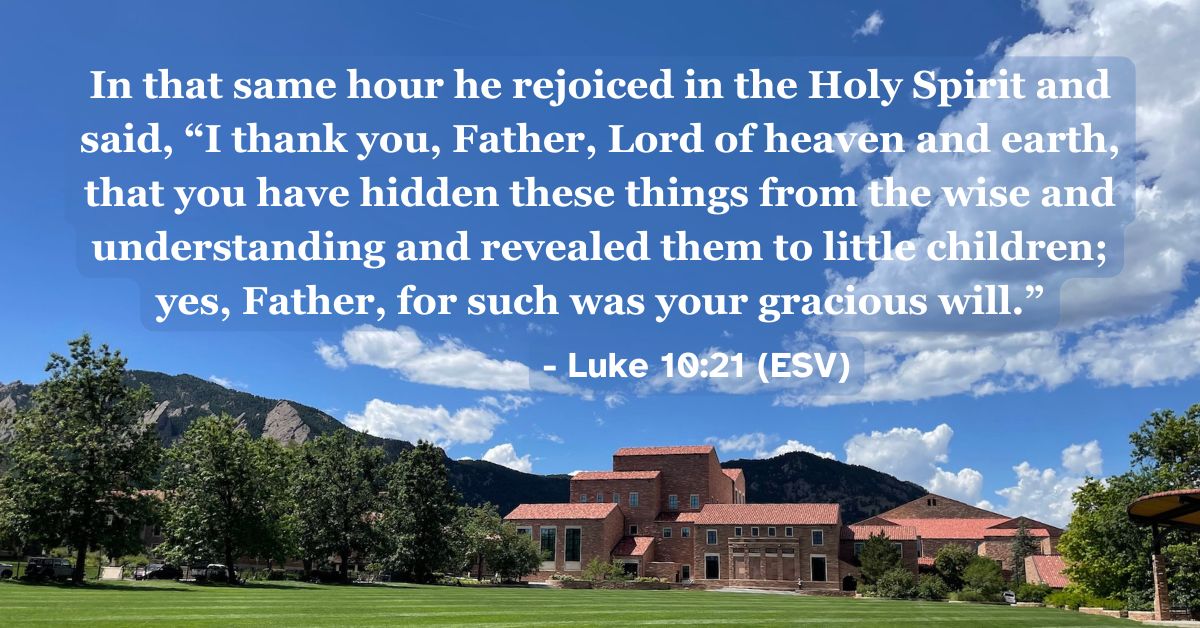 Bible verse from Luke 10:21 about God’s gracious will.