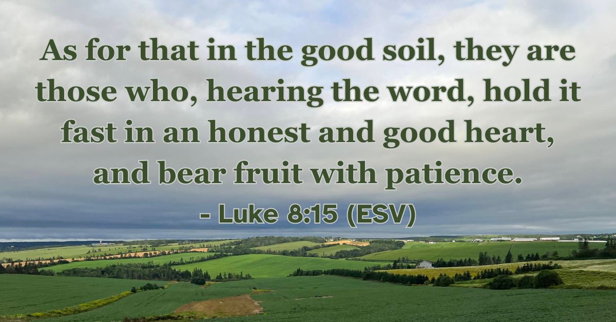 Bible verse from Luke 8:15 about bearing fruit with patience.
