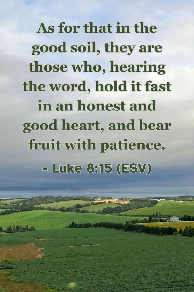 A Sunday School Lesson: Luke 8:4-21 – Joyful Moments in Christ