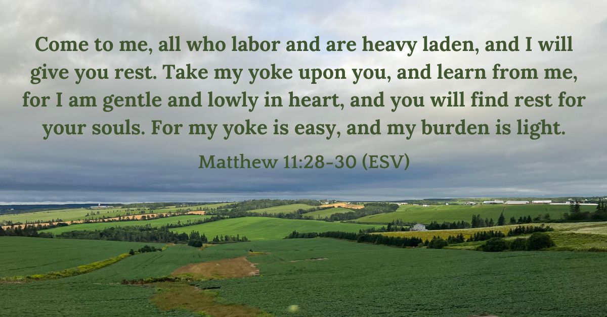 Bible verse from Matthew 11:28-30 about rest in Christ.