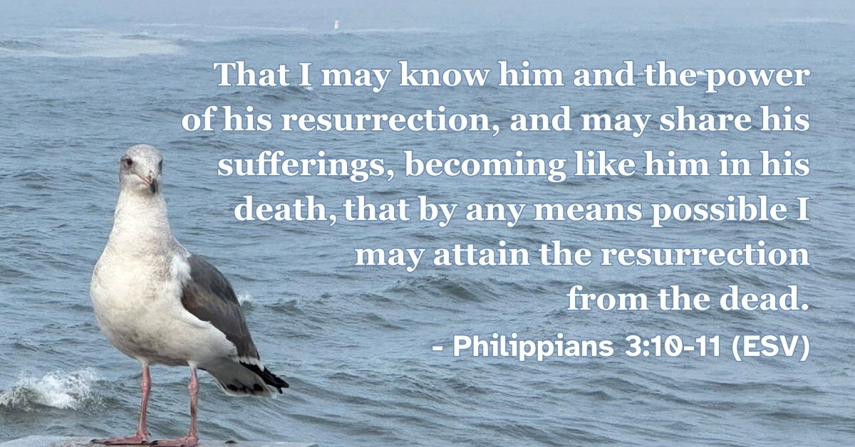 This Bible verse image features Philippians 3:10-11 (ESV): “That I may know him and the power of his resurrection, and may share his sufferings, becoming like him in his death, that by any means possible I may attain the resurrection from the dead.” A reminder of the hope and power found in Christ.