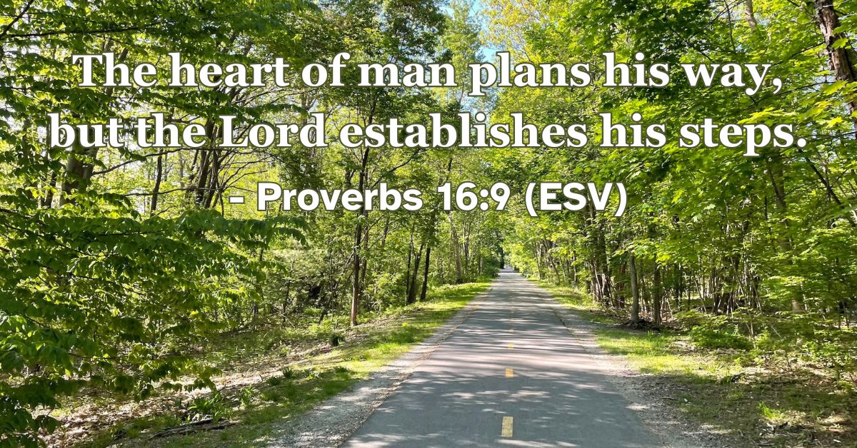 This Bible verse image features Proverbs 16:9 (ESV): “The heart of man plans his way, but the Lord establishes his steps.” A reminder that God directs our path.