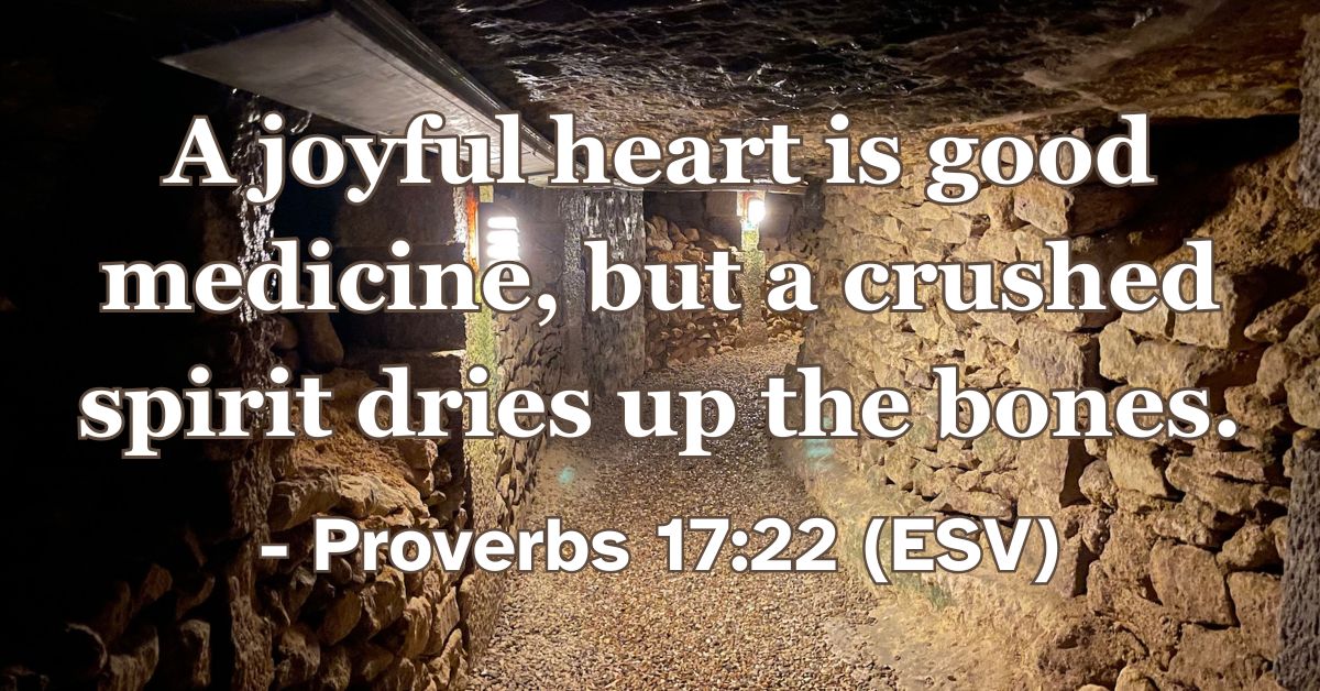 Bible verse from Proverbs 17:22 about joy being good for the heart.