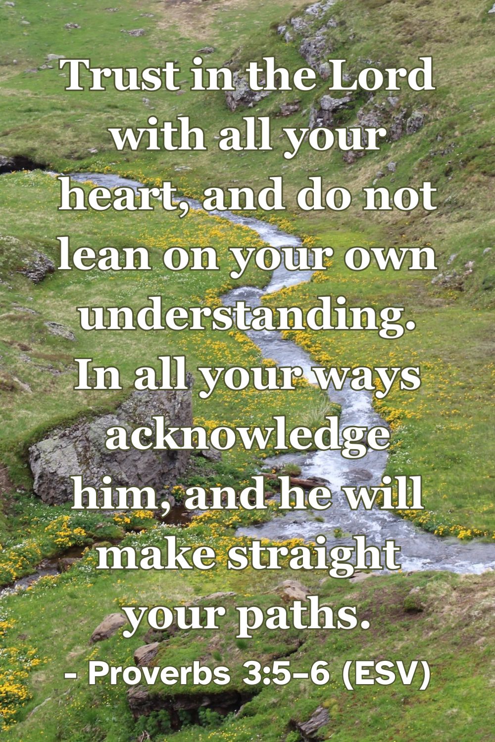 Proverbs 3:5–6 (ESV): Trust in the Lord with all your heart, and do not lean on your own understanding. In all your ways acknowledge him, and he will make straight your paths.