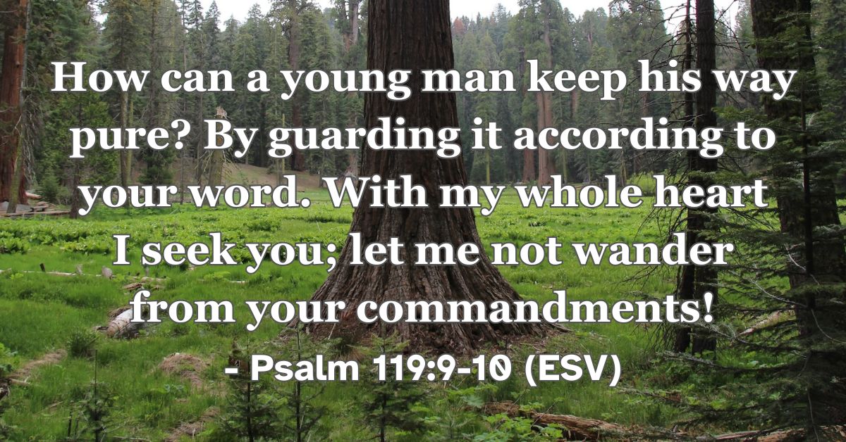 Bible verse from Psalm 119:9-10 about living a pure life through God’s word.