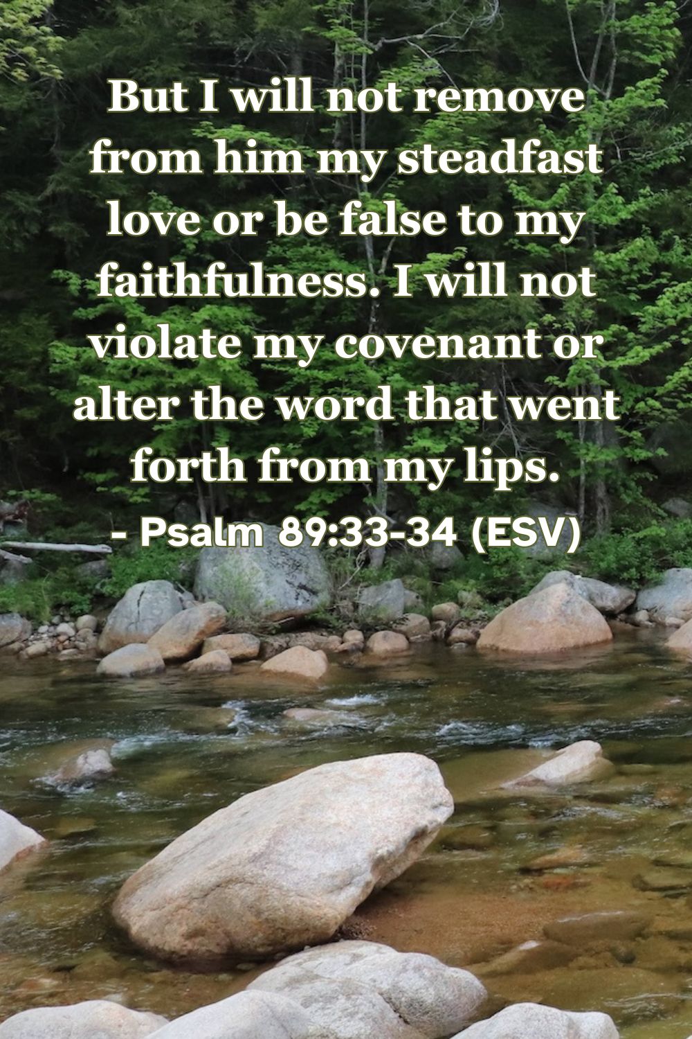 This Bible verse image features Psalm 89:33-34 (ESV): “But I will not remove from him my steadfast love or be false to my faithfulness. I will not violate my covenant or alter the word that went forth from my lips.” A reminder of God’s faithful love and promises.