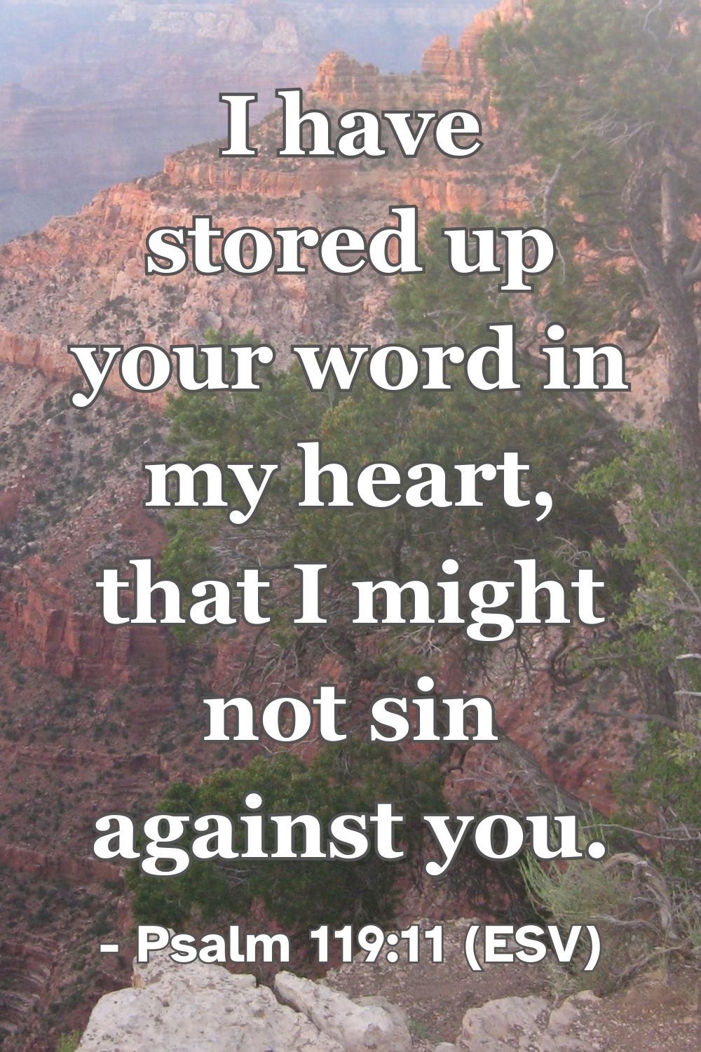 Psalm 119:11 (ESV): I have stored up your word in my heart, that I might not sin against you.
