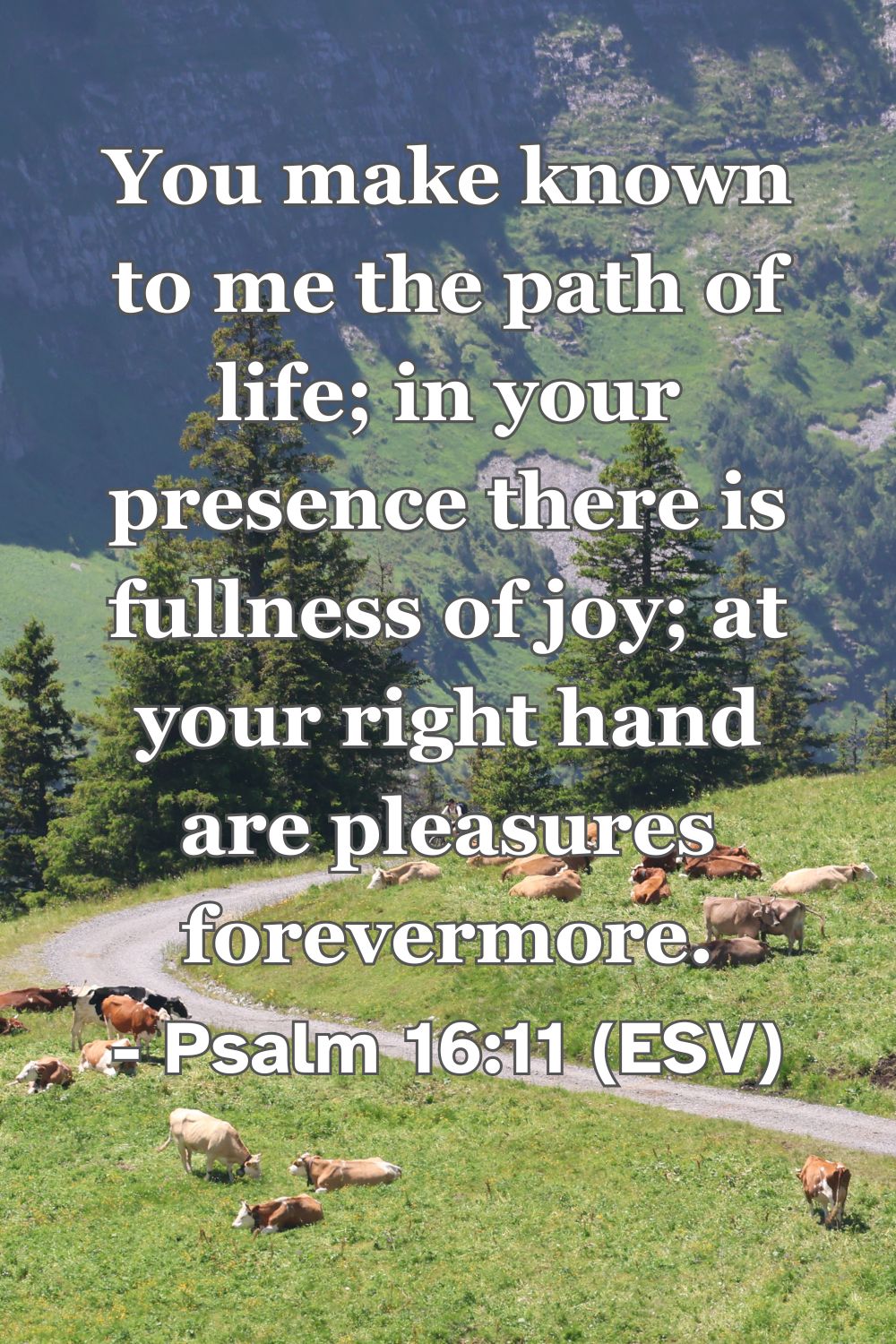 Psalm 16:11 (ESV): You make known to me the path of life; in your presence there is fullness of joy; at your right hand are pleasures forevermore.