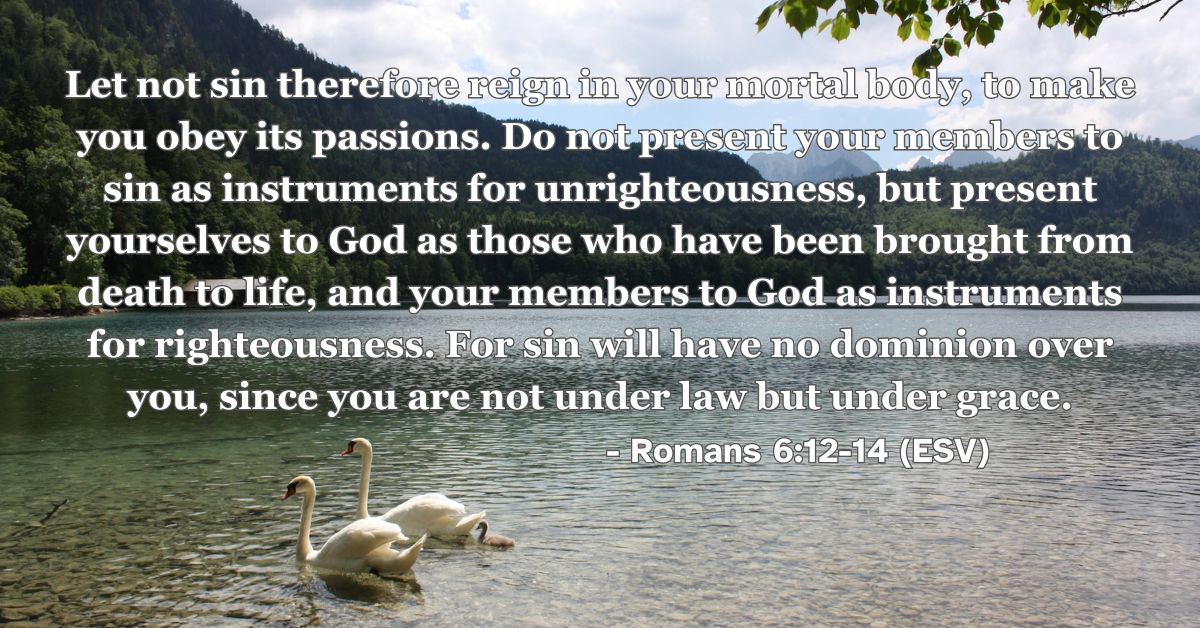 Romans 6:12-14 (ESV): Let not sin therefore reign in your mortal body, to make you obey its passions. Do not present your members to sin as instruments for unrighteousness, but present yourselves to God as those who have been brought from death to life, and your members to God as instruments for righteousness. For sin will have no dominion over you, since you are not under law but under grace.