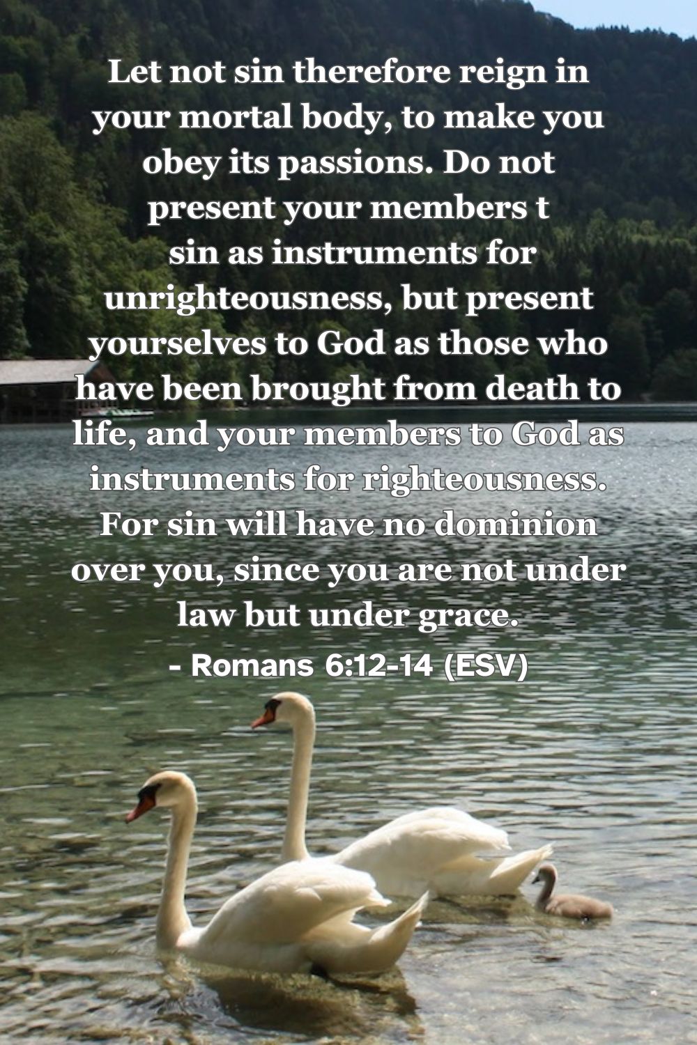 Romans 6:12-14 (ESV): Let not sin therefore reign in your mortal body, to make you obey its passions. Do not present your members to sin as instruments for unrighteousness, but present yourselves to God as those who have been brought from death to life, and your members to God as instruments for righteousness. For sin will have no dominion over you, since you are not under law but under grace.
