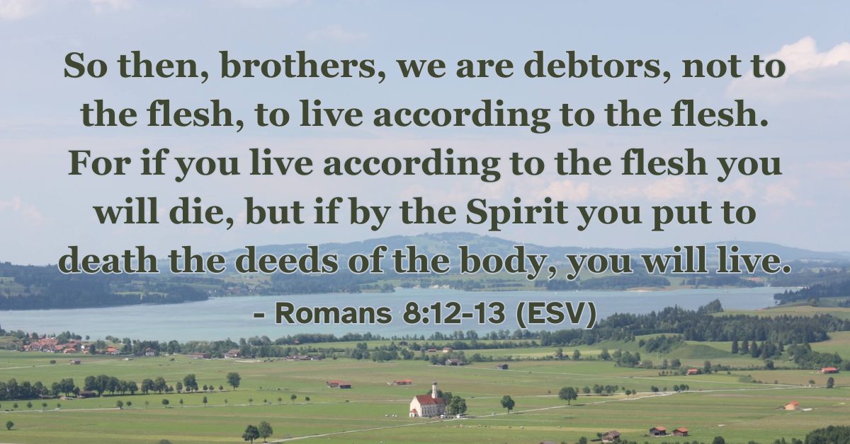 Romans 8:12-13 (ESV): So then, brothers, we are debtors, not to the flesh, to live according to the flesh. For if you live according to the flesh you will die, but if by the Spirit you put to death the deeds of the body, you will live.