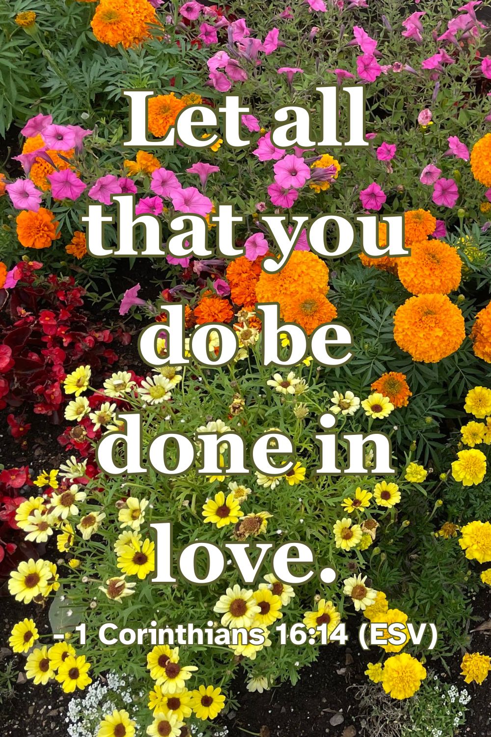 This Bible verse image features 1 Corinthians 16:14 (ESV): “Let all that you do be done in love.” A reminder to let love guide every action.