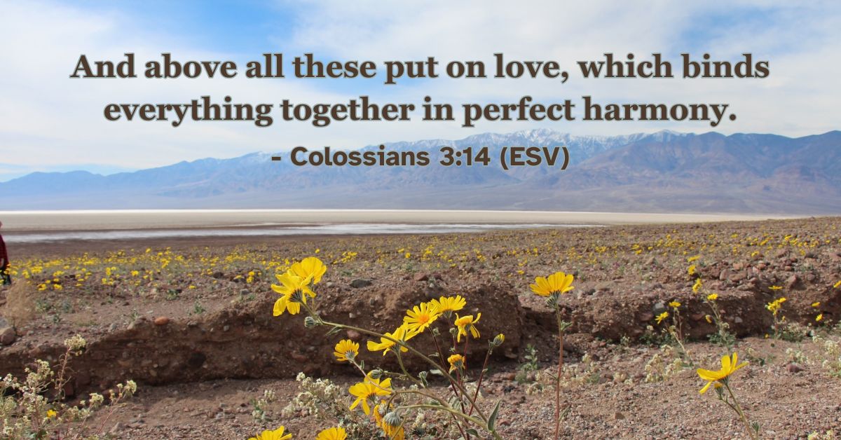 Bible verse from Colossians 3:14 about love bringing unity.