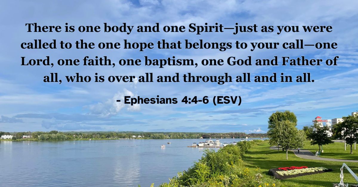 Bible verse from Ephesians 4:4-6 about unity in the body of Christ.