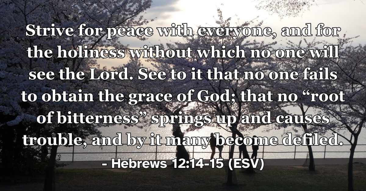 Bible verse from Hebrews 12:14-15 about peace, holiness, and guarding against bitterness.