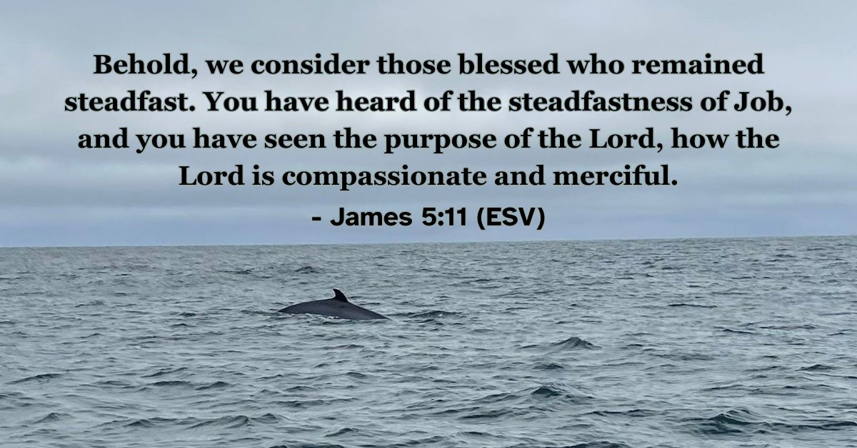 Bible verse from James 5:11 about God's compassion and purpose in suffering.