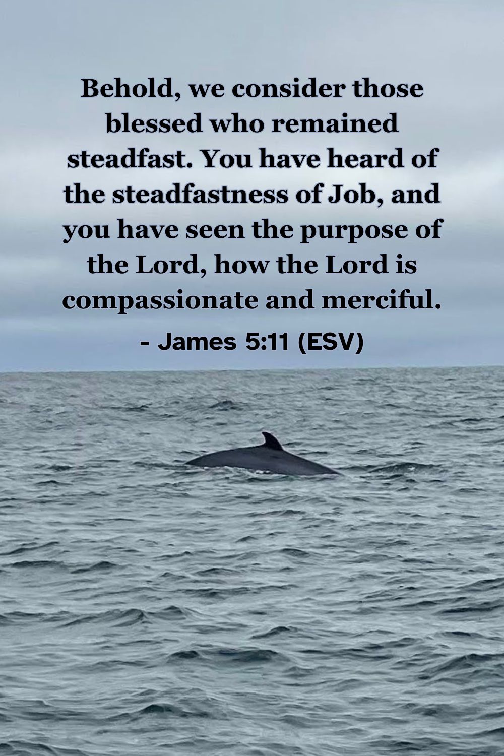 This Bible verse image features James 5:11 (ESV): “Behold, we consider those blessed who remained steadfast. You have heard of the steadfastness of Job, and you have seen the purpose of the Lord, how the Lord is compassionate and merciful.” A reminder to endure with trust in God's compassion.
