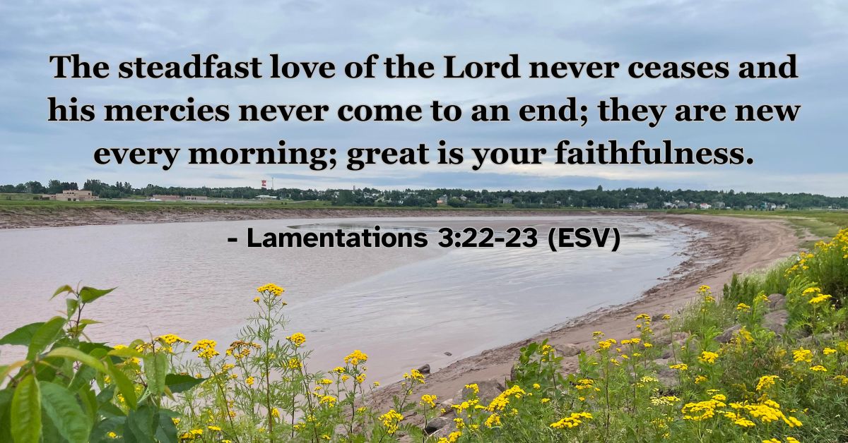 Bible verse from Lamentations 3:22-23 about God's daily mercies.